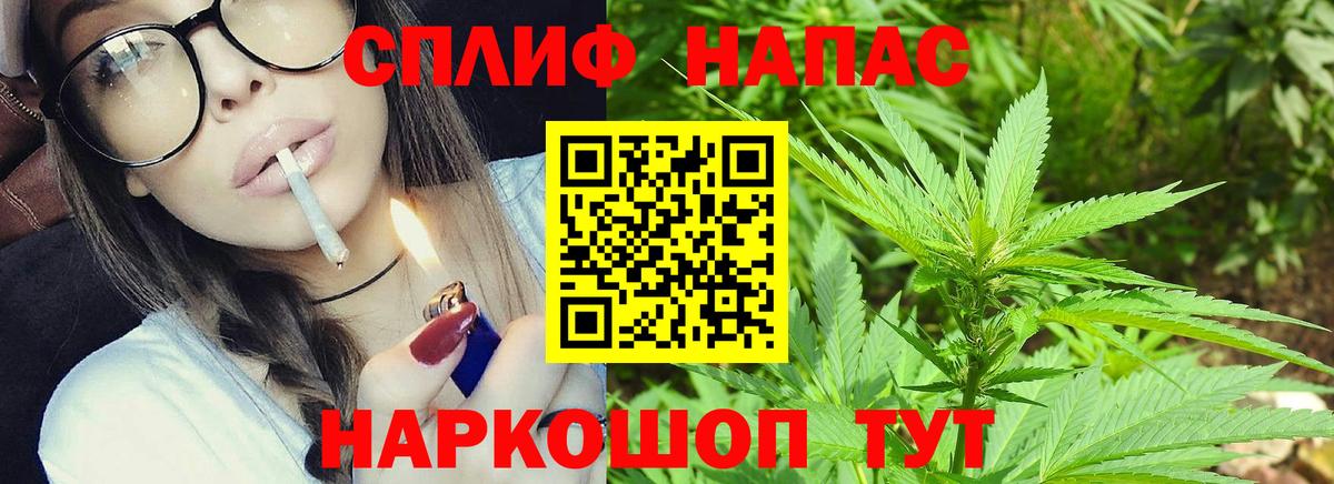 Каннабис ГИДРОПОН  Бошки марихуана план  Вход с VPN  Сланцы  Шишки марихуана планчик 